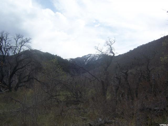 #90, Fountain Green, UT 84632 — photo 7