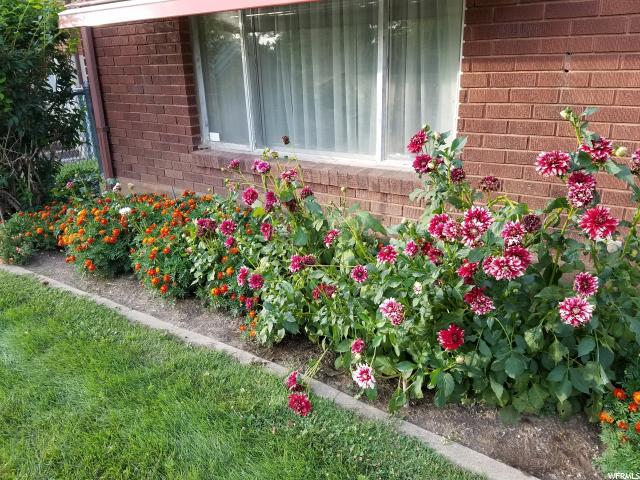 3055 Circle Way E, Ogden, UT 84403 — photo 6