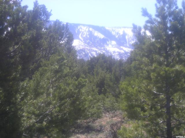 Tabiona, UT 84072 — photo 7