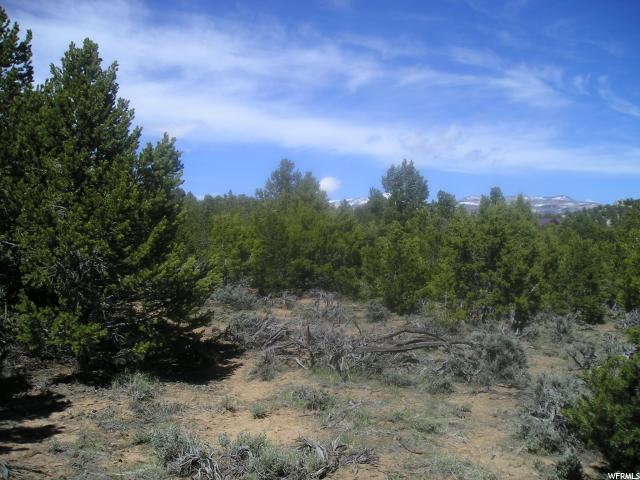 Tabiona, UT 84072 — photo 4