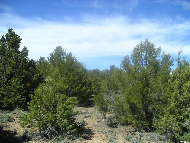 Tabiona, UT 84072 — photo 3