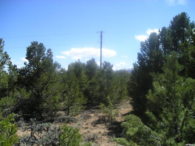 Tabiona, UT 84072 — photo 6