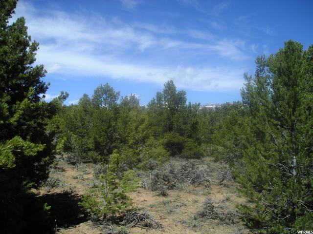 Tabiona, UT 84072 — photo 2