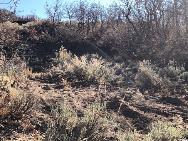 10779 N Hideout Trl E #10, Hideout, UT 84036 — photo 5