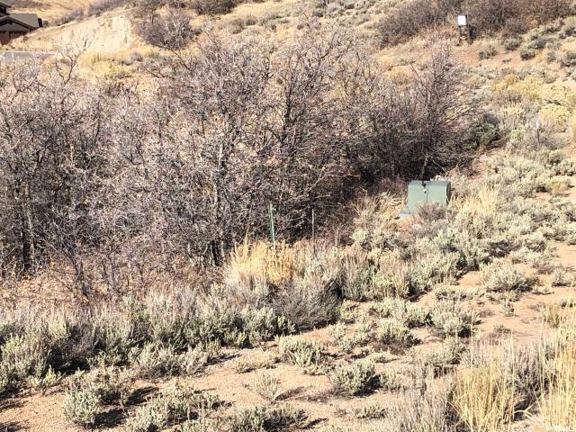 10779 N Hideout Trl E #10, Hideout, UT 84036 — photo 7