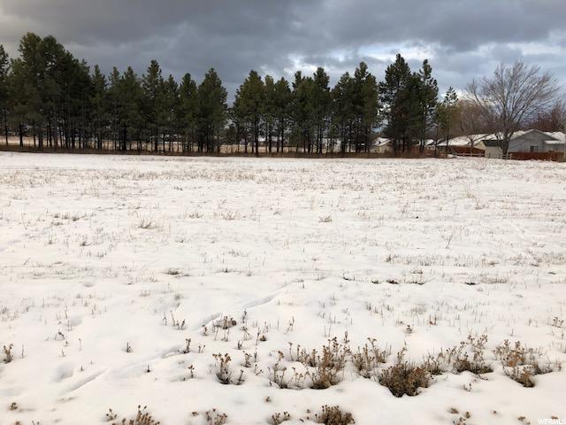 1001 E 2900 N #47, North Logan, UT 84341 — photo 10