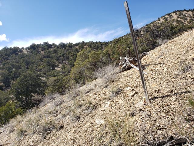#51, Fruitland, UT 84027 — photo 5