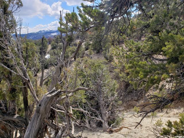 #51, Fruitland, UT 84027 — photo 3