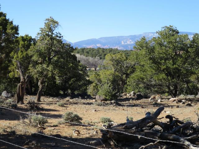 500 N Eagle View Rd, Grover, UT 84773 — photo 2