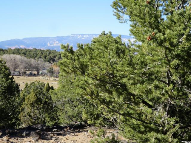 500 N Eagle View Rd, Grover, UT 84773 — photo 3