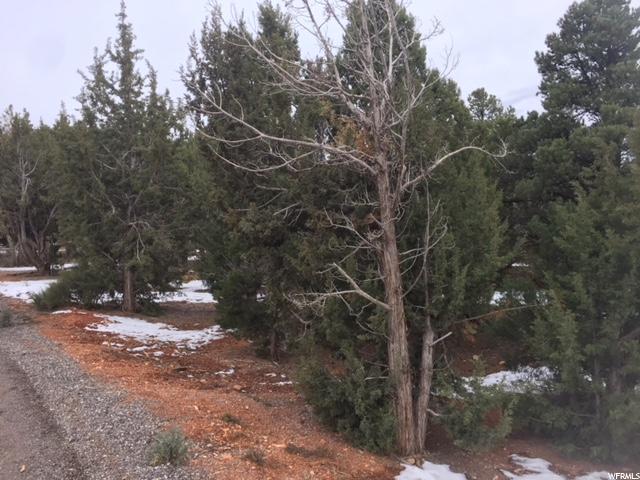 #12, Central, UT 84722 — photo 4