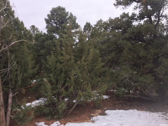 #12, Central, UT 84722 — photo 3