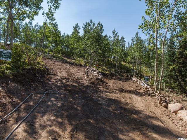 6151 N Powder Rdg E #11, Eden, UT 84310 — photo 6