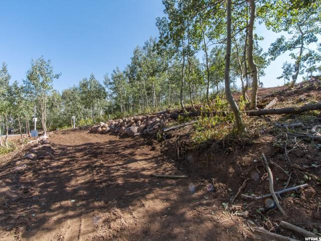 6151 N Powder Rdg E #11, Eden, UT 84310 — photo 7