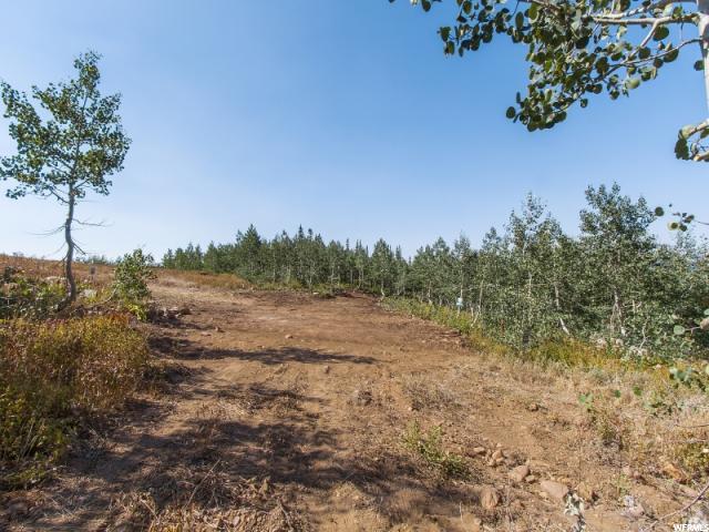 6151 N Powder Rdg E #11, Eden, UT 84310 — photo 8