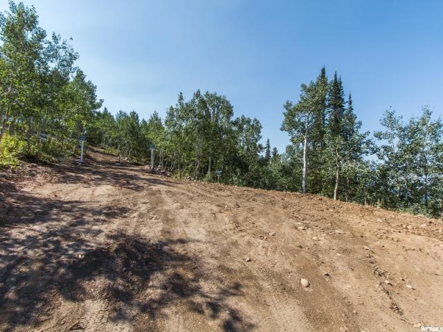 6151 N Powder Rdg E #11, Eden, UT 84310 — photo 4