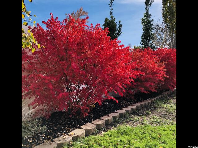 966 E 800 S, Bountiful, UT 84010 — photo 3