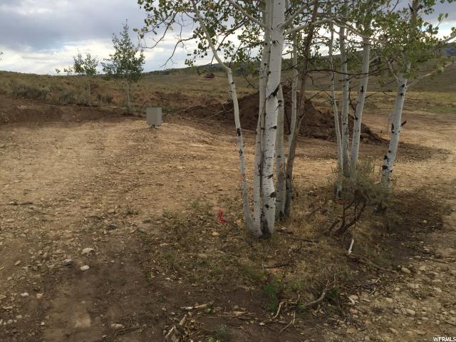 #46, Scofield, UT 84526 — photo 5