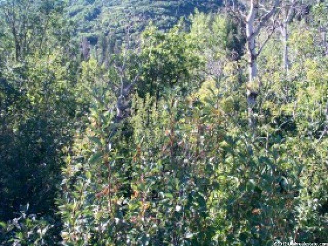 7088 Stagecoach Dr #194, Park City, UT 84098 — photo 4