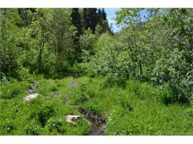 2980 Forest Meadow Rd, Wanship, UT 84017 — photo 4