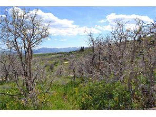 2980 Forest Meadow Rd, Wanship, UT 84017 — photo 5