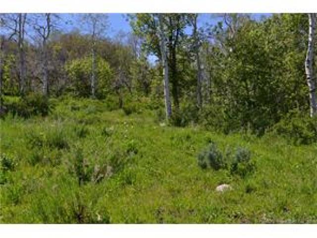 2980 Forest Meadow Rd, Wanship, UT 84017 — photo 3