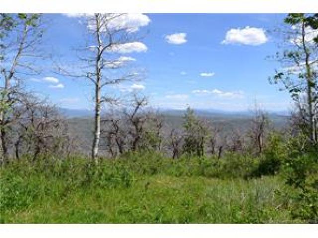 2980 Forest Meadow Rd, Wanship, UT 84017 — photo 6
