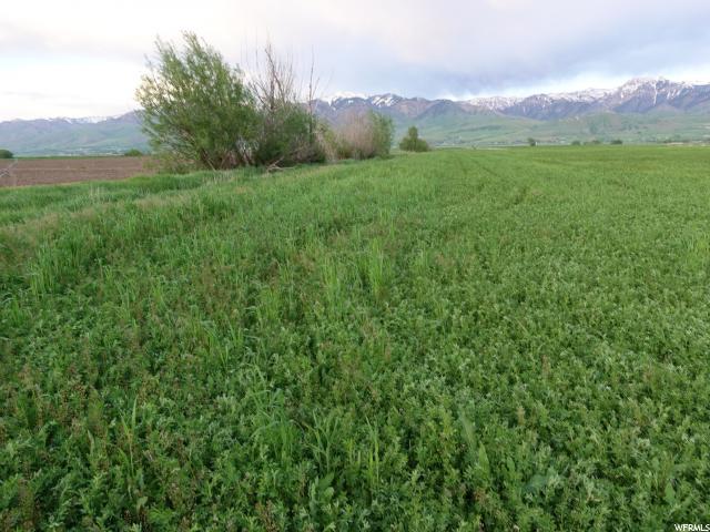 8480 N 2300 W, Amalga, UT 84335 — photo 3