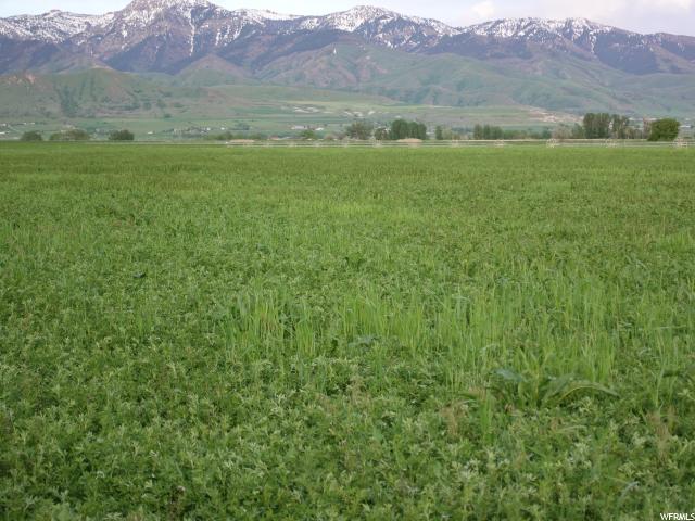 8480 N 2300 W, Amalga, UT 84335 — photo 4