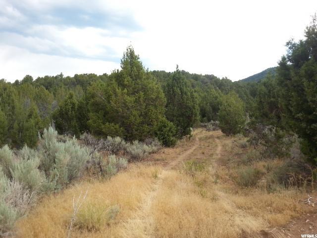 #4, Fairview, UT 84629 — photo 7