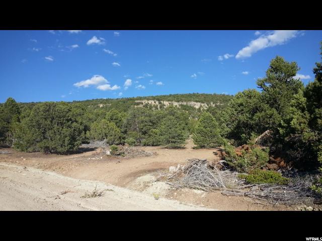 #4, Fairview, UT 84629 — photo 9