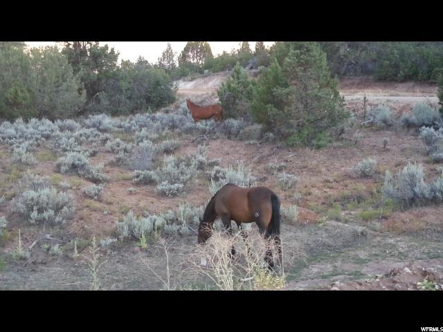#4, Fairview, UT 84629 — photo 6
