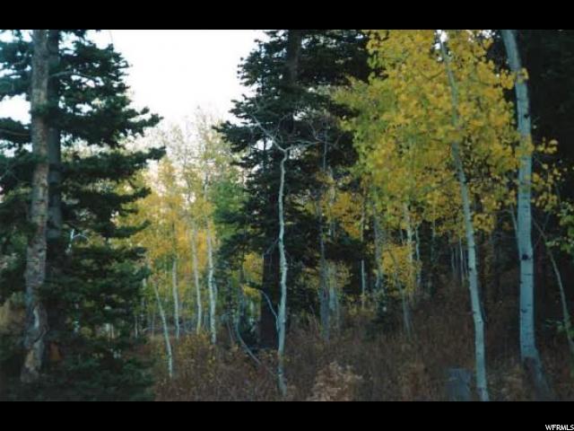 1171 Oak Rd, Wanship, UT 84017 — photo 3