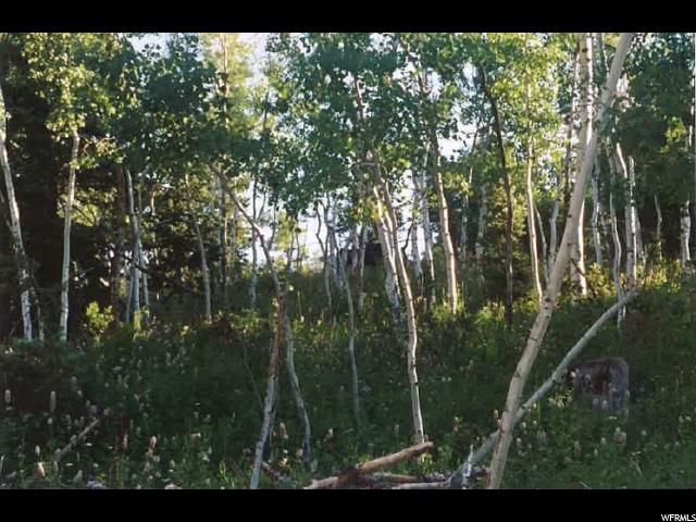 1171 Oak Rd, Wanship, UT 84017 — photo 8