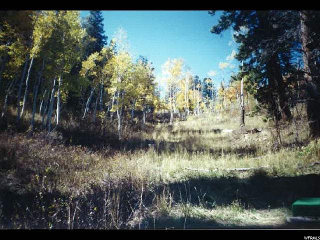 1171 Oak Rd, Wanship, UT 84017 — photo 4