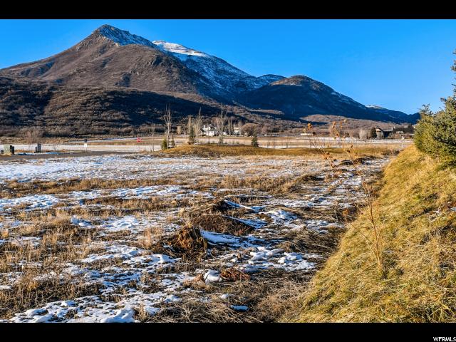 738 E Dutch Canyon Dr #2, Midway, UT 84049 — photo 6