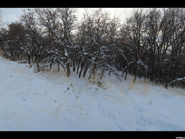 424 E Canyon Estates Drive #1C, Bountiful, UT 84010 — photo 2