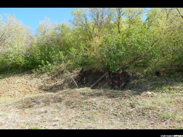 3893 S Mountain Oaks E #310, Bountiful, UT 84010 — photo 3