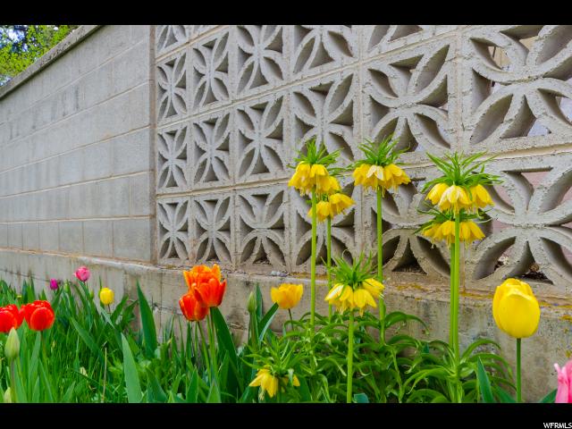109 N 875 E, Logan, UT 84321 — photo 8