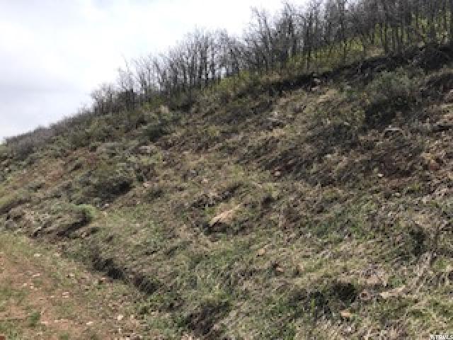 168 Valleyview ##168, Wanship, UT 84017 — photo 7