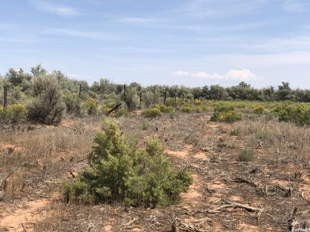 731 S 8700 E, Gusher, UT 84026 — photo 3