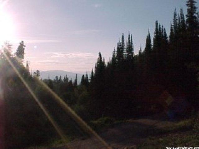 22 Alexander Cyn, Summit County, UT 84017 — photo 4