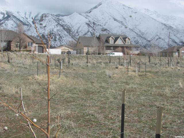 145 E Burraston #3, Mona, UT 84645 — photo 12