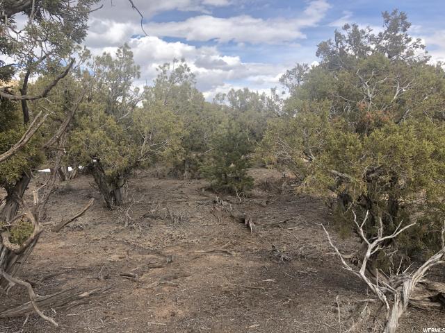 #2, Duchesne, UT 84021 — photo 5