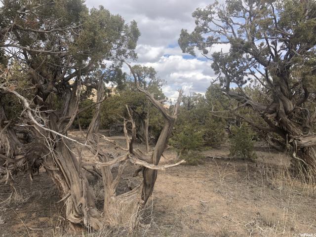 #2, Duchesne, UT 84021 — photo 2
