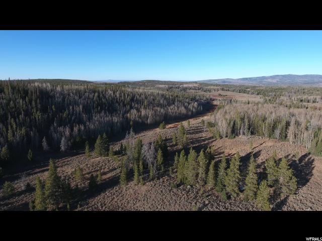 1 Forest Rd #803 #803, Kamas, UT 84036 — photo 7