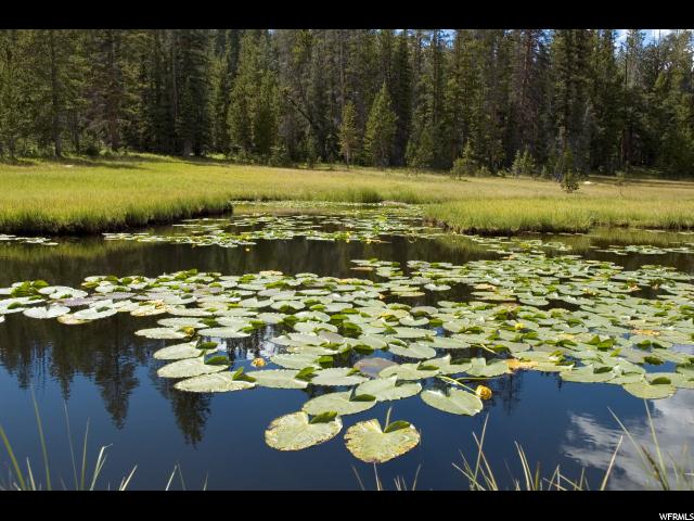 1 Forest Rd #803 #803, Kamas, UT 84036 — photo 8
