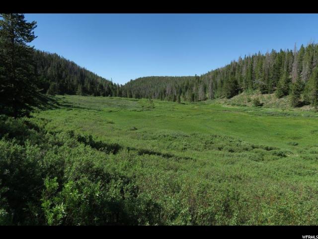 1 Forest Rd #803 #803, Kamas, UT 84036 — photo 2