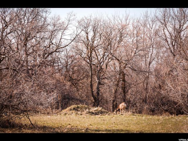 #1, Farmington, UT 84025 — photo 3