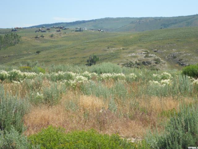 #5, Scofield, UT 84526 — photo 8